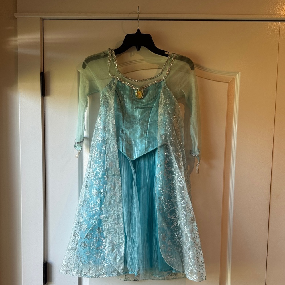 Authentic Original Ice Princess Elsa costume